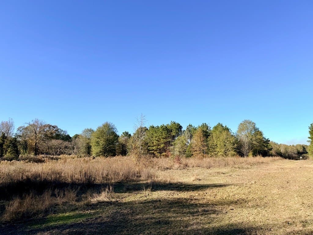 19.97 acres in Texas County - photo 17