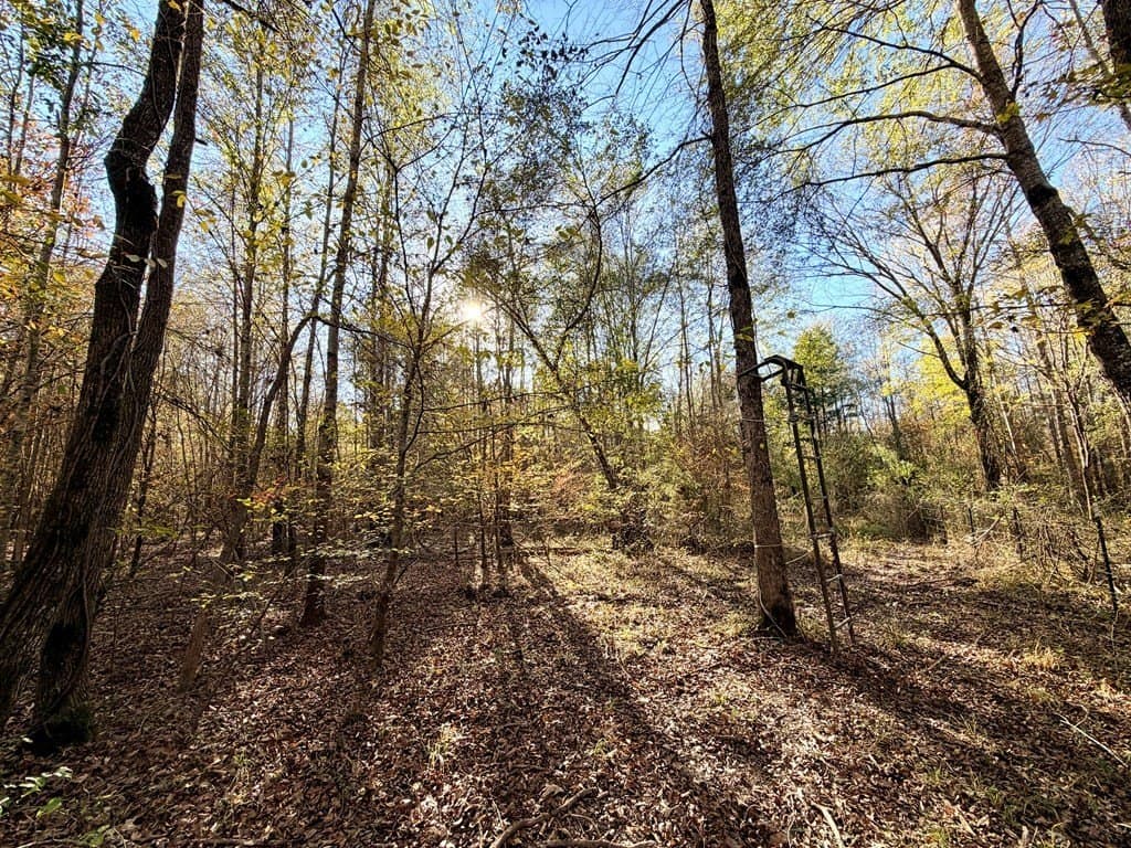 19.97 acres in Texas County - photo 13