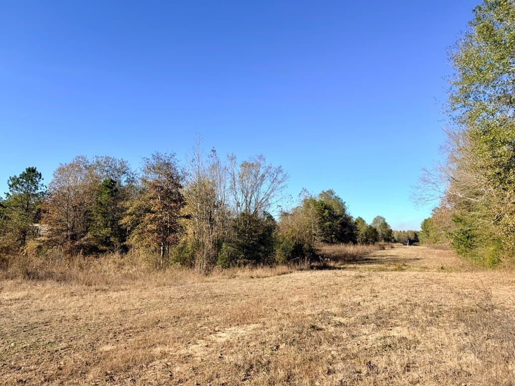 19.97 acres in Texas County - photo 18