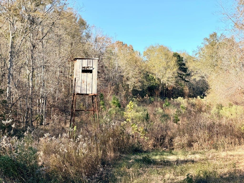 19.97 acres in Texas County - photo 6