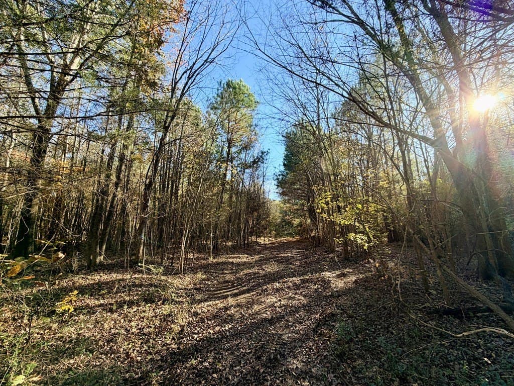 19.97 acres in Texas County - photo 11
