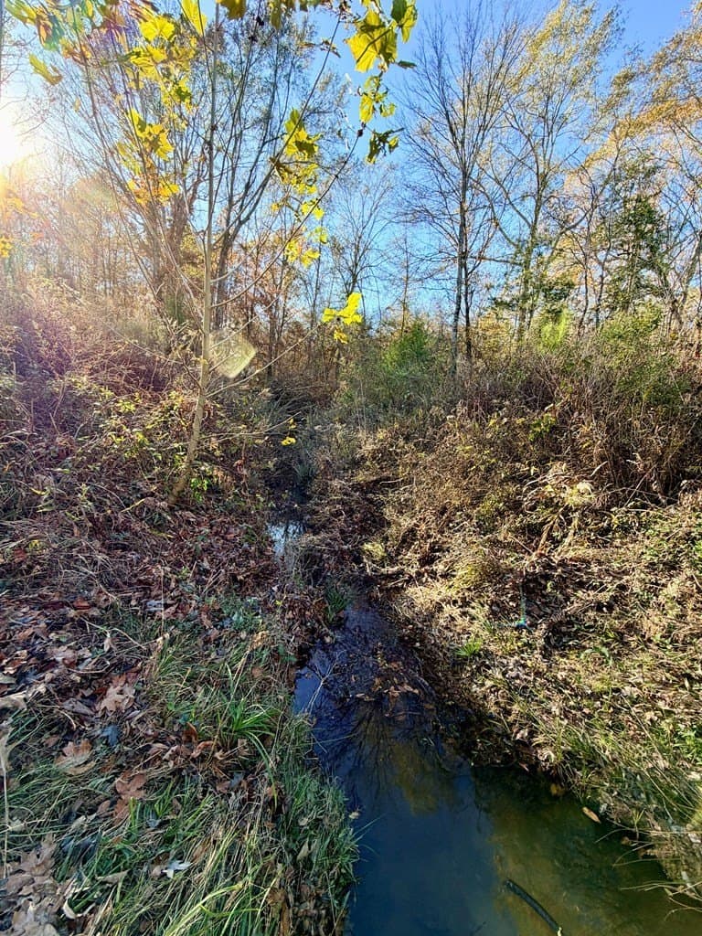 19.97 acres in Texas County - photo 4