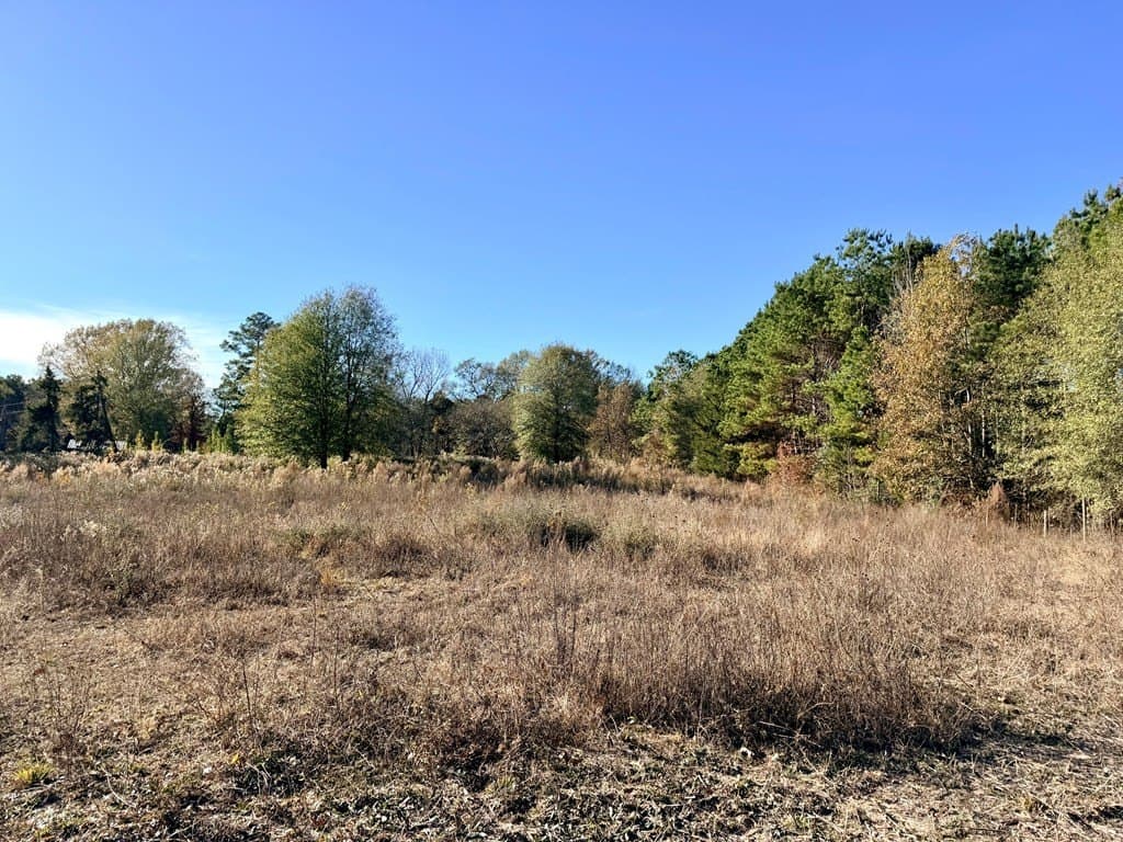 19.97 acres in Texas County - photo 16
