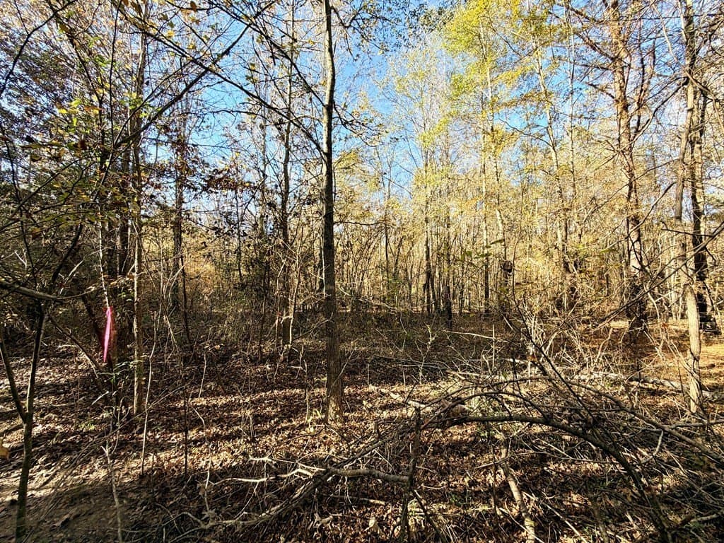 19.97 acres in Texas County - photo 10