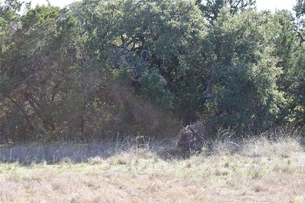 0.43 acres in Johnson County - photo 7