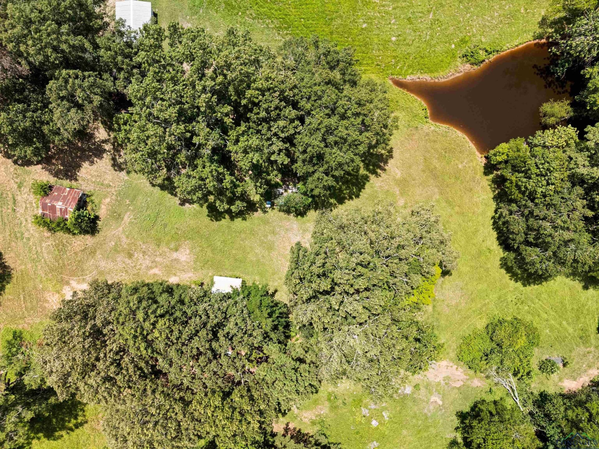 10.6 acres in Gregg County - photo 11