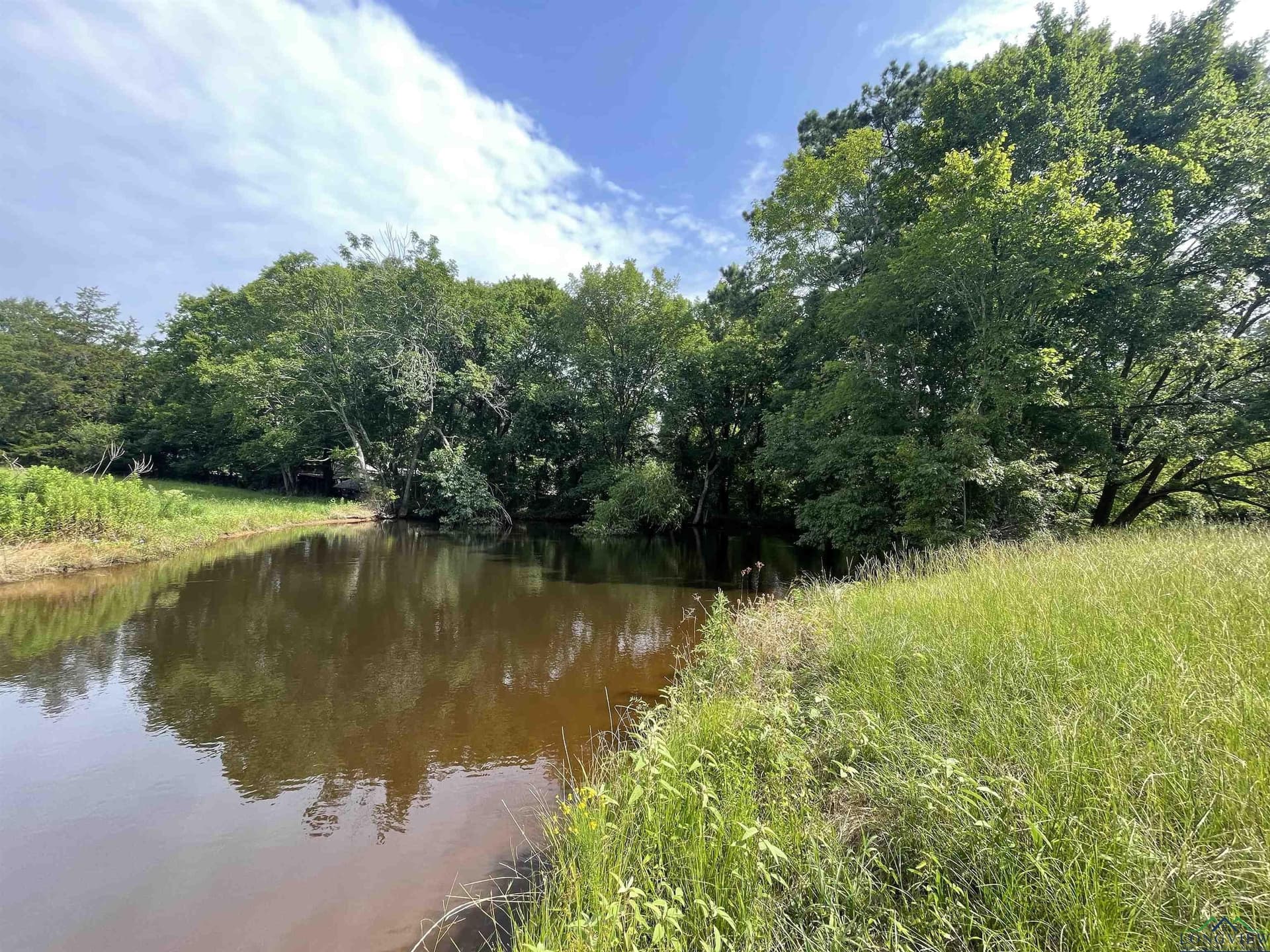 10.6 acres in Gregg County - photo 10