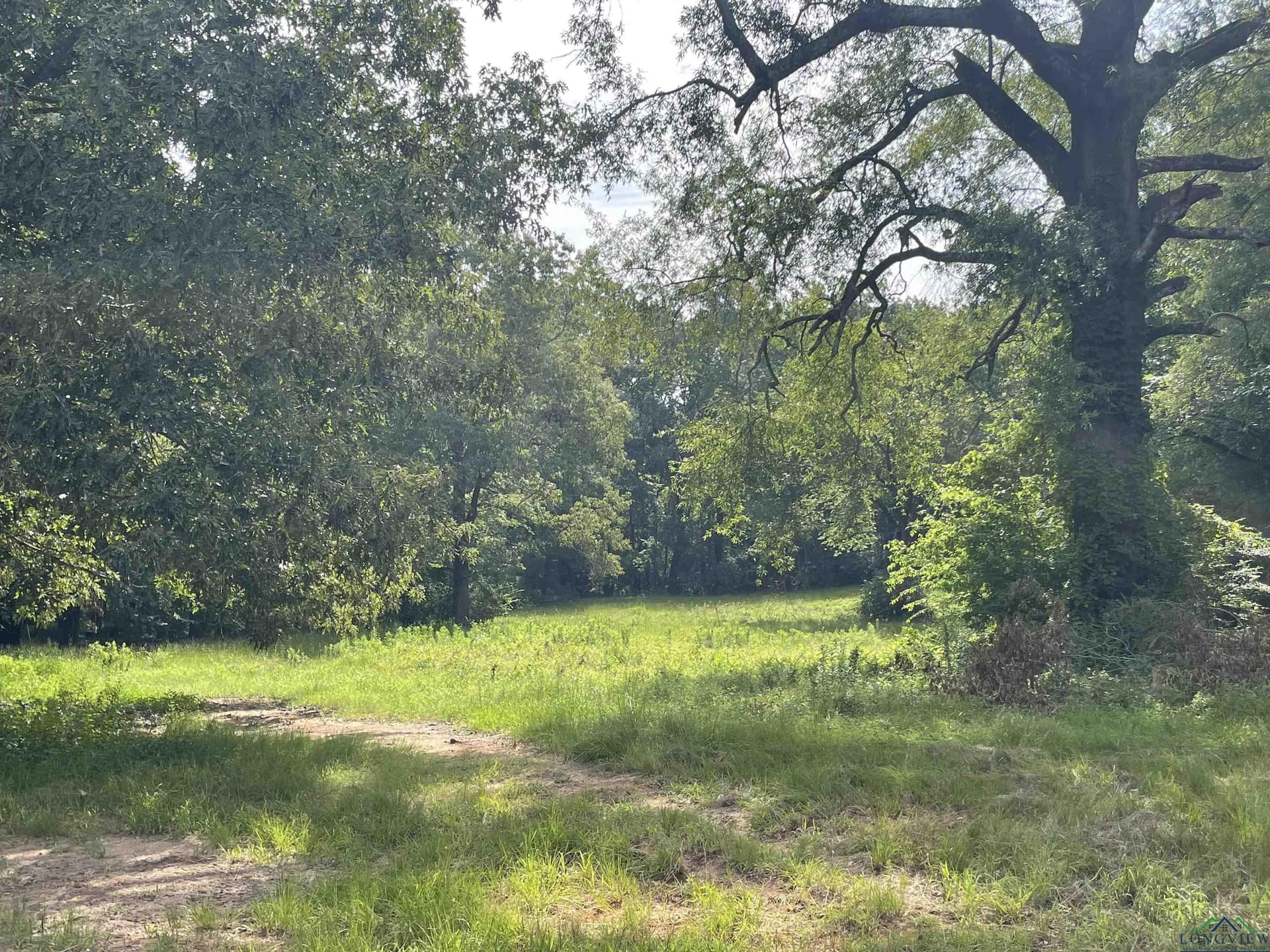 10.6 acres in Gregg County - photo 9