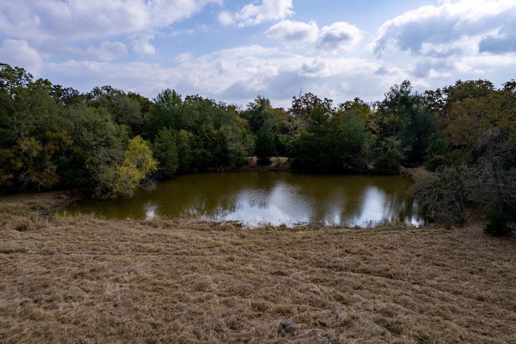143 acres in FREESTONE County - photo 17
