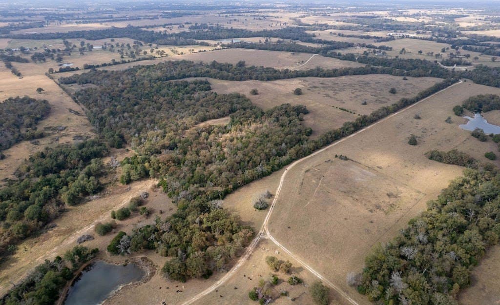 143 acres in FREESTONE County - photo 6