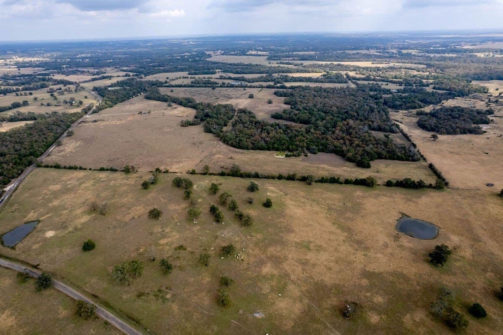 143 acres in FREESTONE County - photo 13