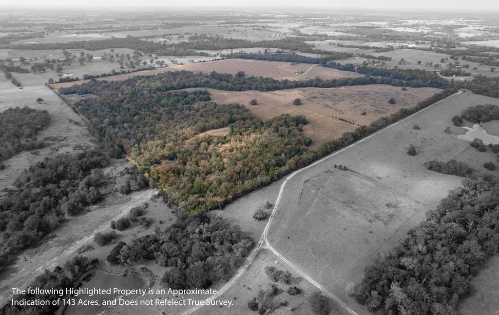 143 acres in FREESTONE County - photo 7