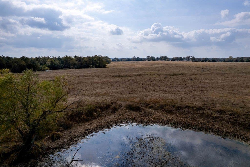 143 acres in FREESTONE County - photo 20
