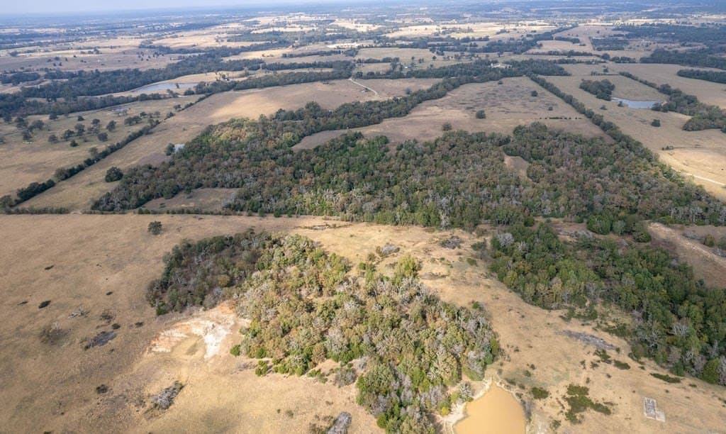 143 acres in FREESTONE County - photo 8