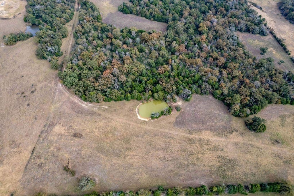 143 acres in FREESTONE County - photo 14