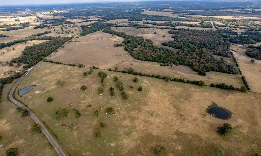 143 acres in FREESTONE County - photo 11