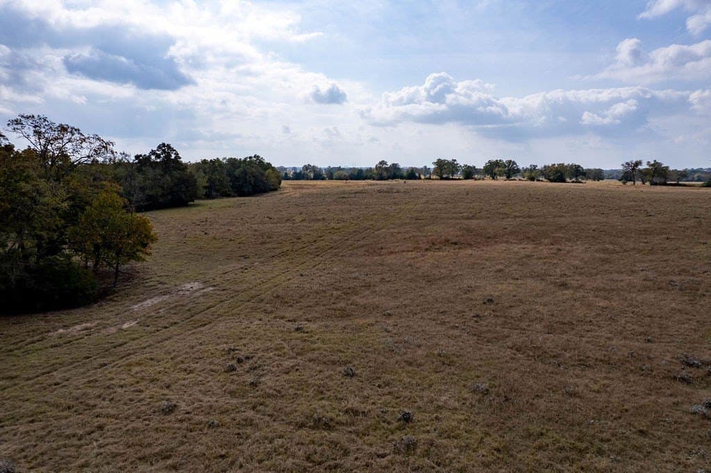143 acres in FREESTONE County - photo 18