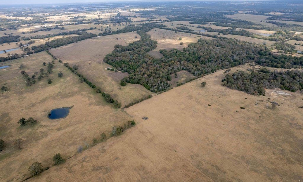 143 acres in FREESTONE County - photo 10
