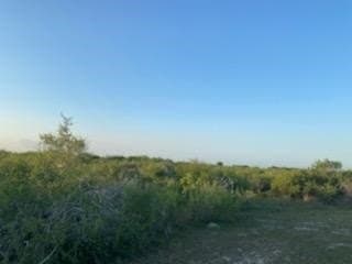 45.15 acres in Calhoun County - photo 4