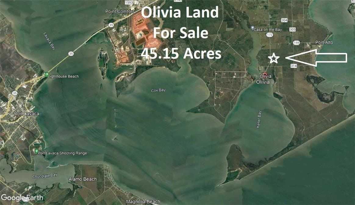45.15 acres in Calhoun County - photo 11