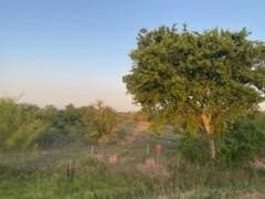 45.15 acres in Calhoun County - photo 8