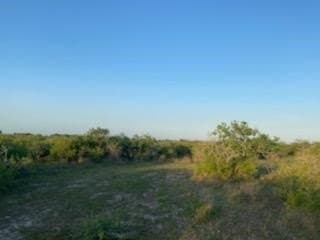 45.15 acres in Calhoun County - photo 3