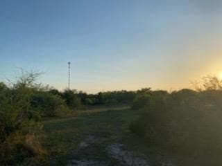 45.15 acres in Calhoun County - photo 2