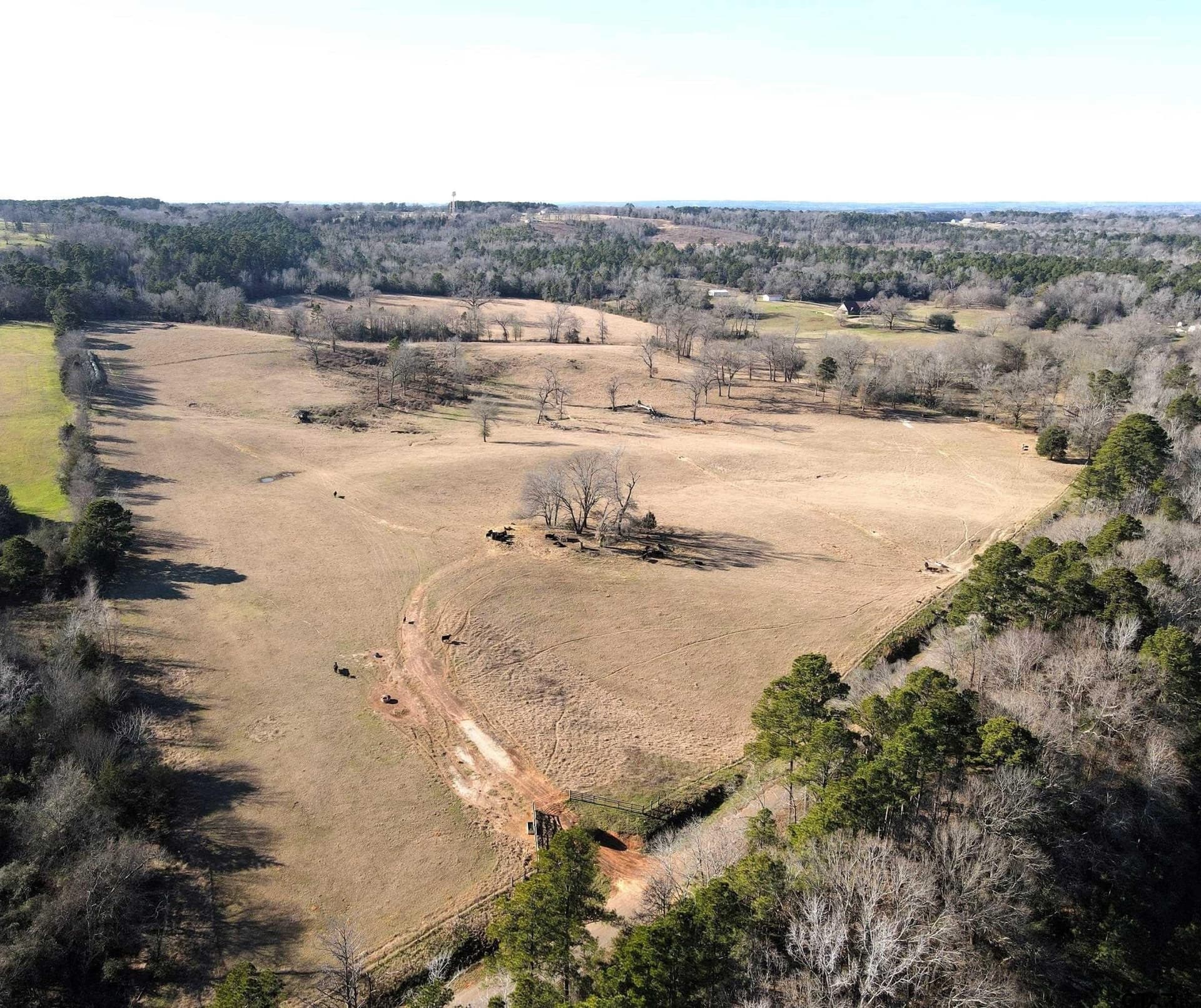 30 acres in Cherokee County - photo 3