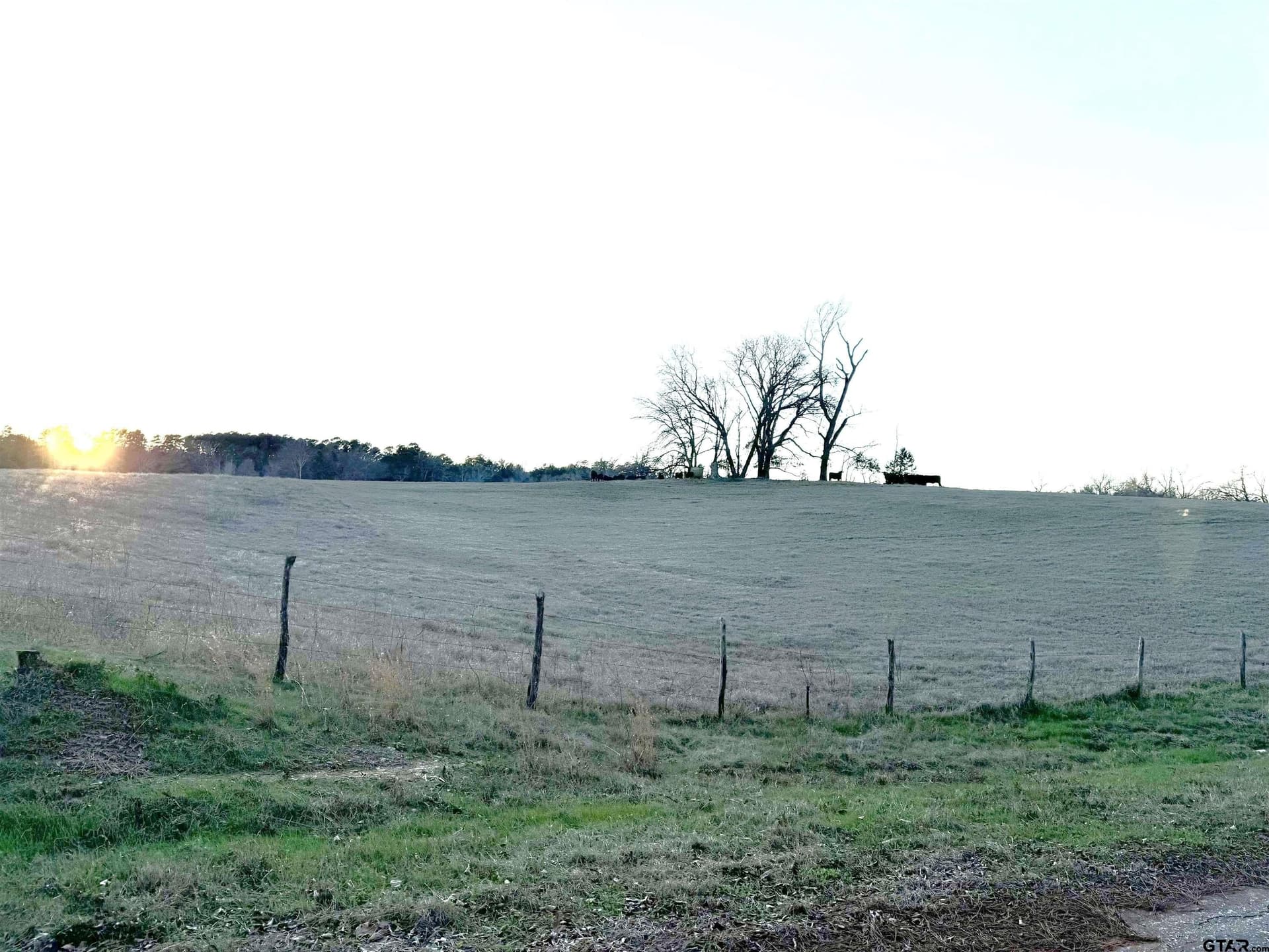 30 acres in Cherokee County - photo 7