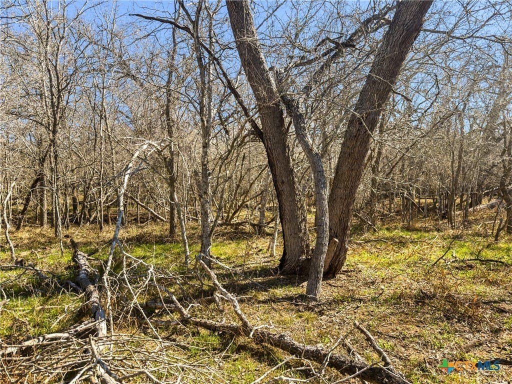 10.13 acres in Guadalupe County - photo 10