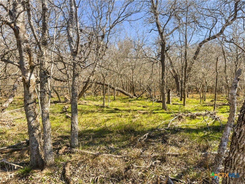 10.13 acres in Guadalupe County - photo 4