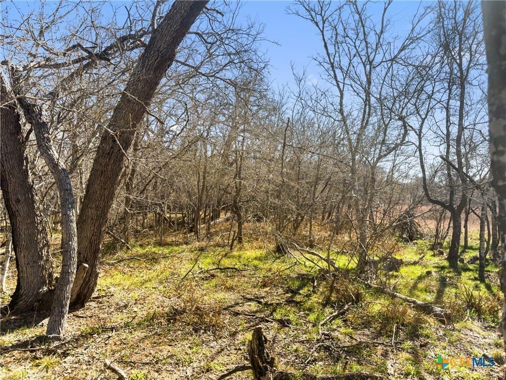 10.13 acres in Guadalupe County - photo 9