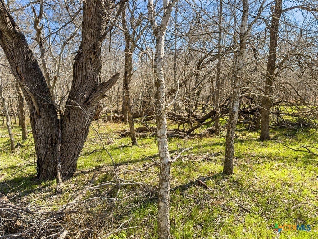 10.13 acres in Guadalupe County - photo 13