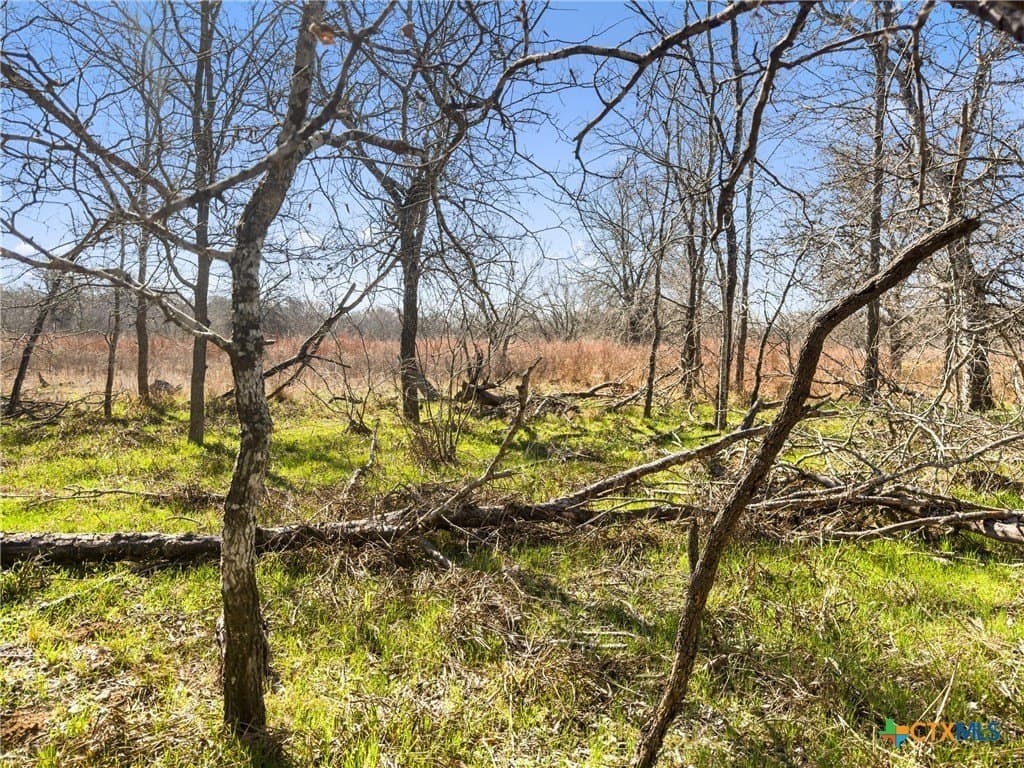 10.13 acres in Guadalupe County - photo 11