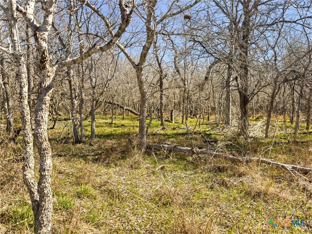10.13 acres in Guadalupe County - photo 3