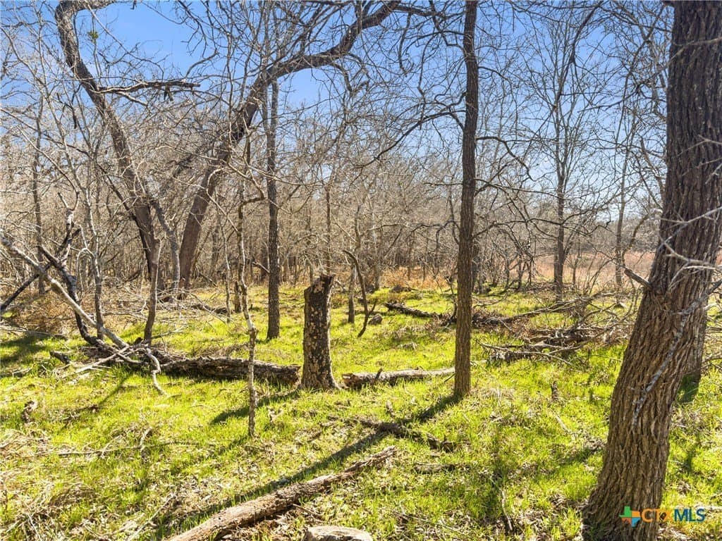 10.13 acres in Guadalupe County - photo 6