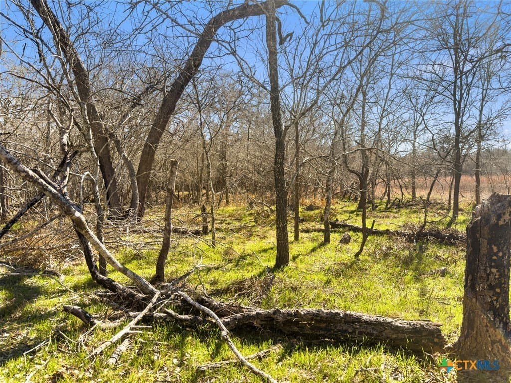 10.13 acres in Guadalupe County - photo 8