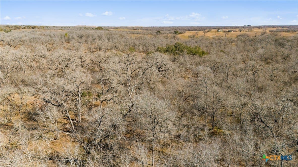 10.13 acres in Guadalupe County - photo 15