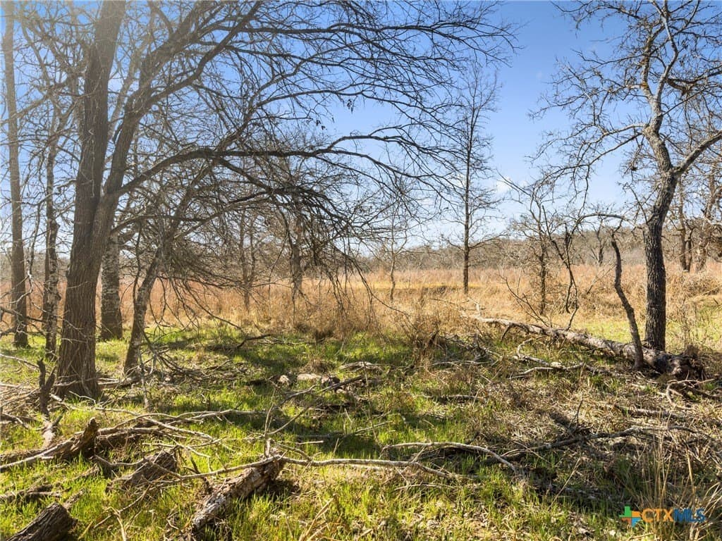 10.13 acres in Guadalupe County - photo 7