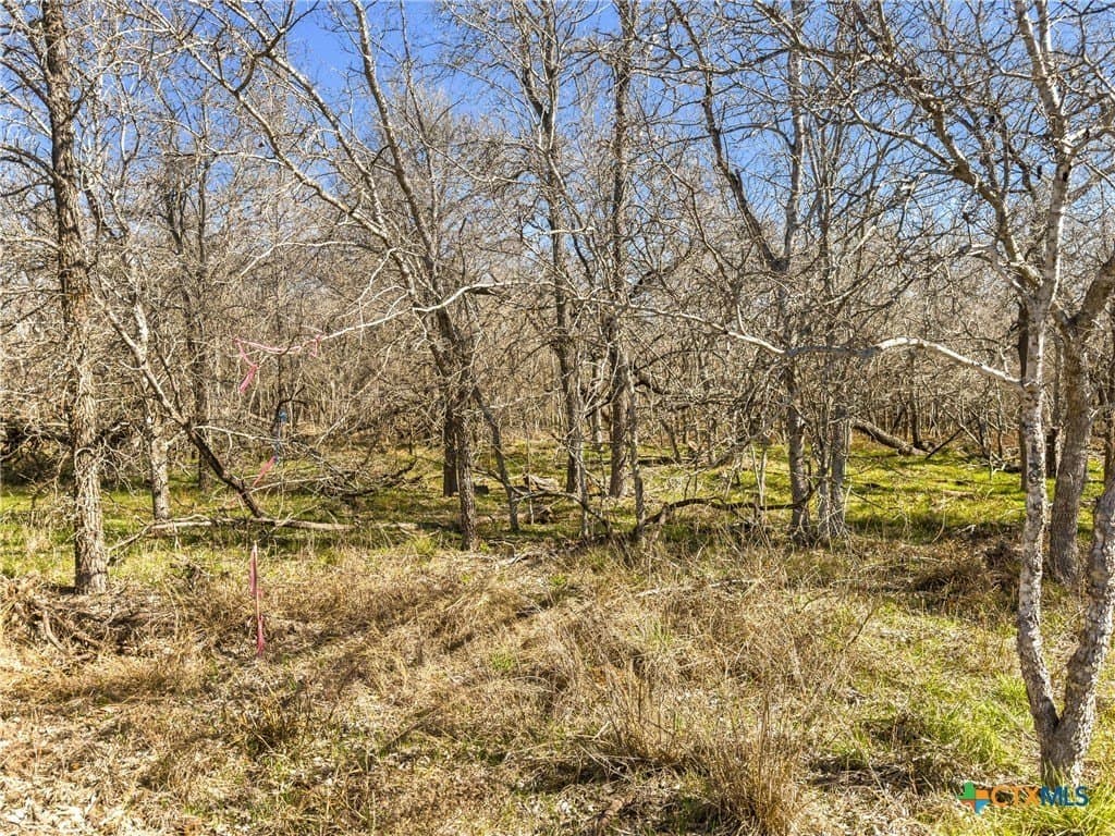 10.13 acres in Guadalupe County - photo 2