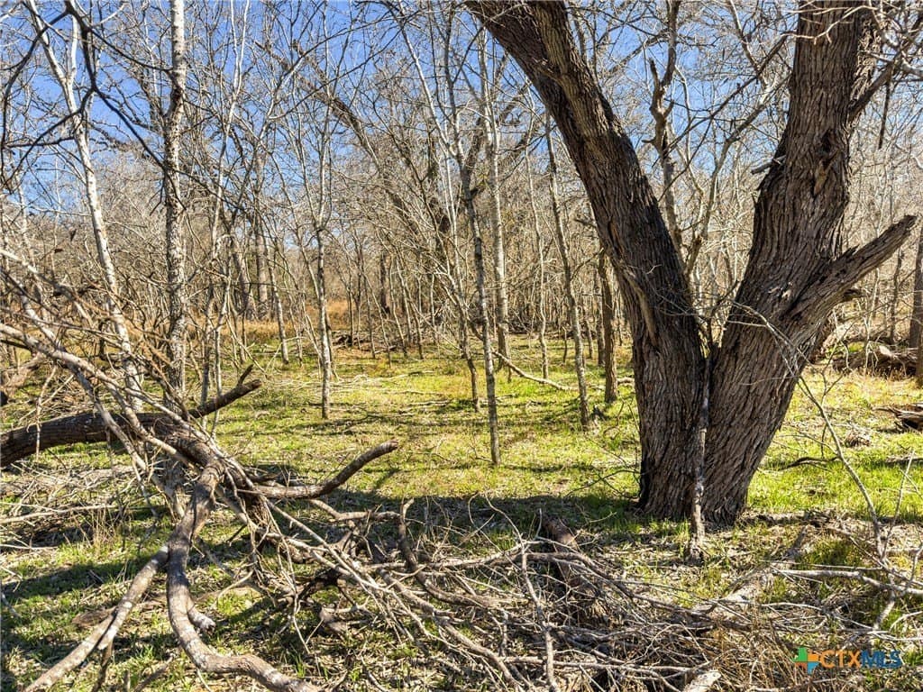 10.13 acres in Guadalupe County - photo 12