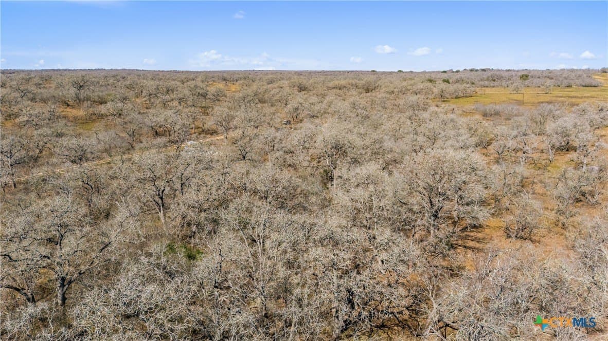 10.13 acres in Guadalupe County - photo 20