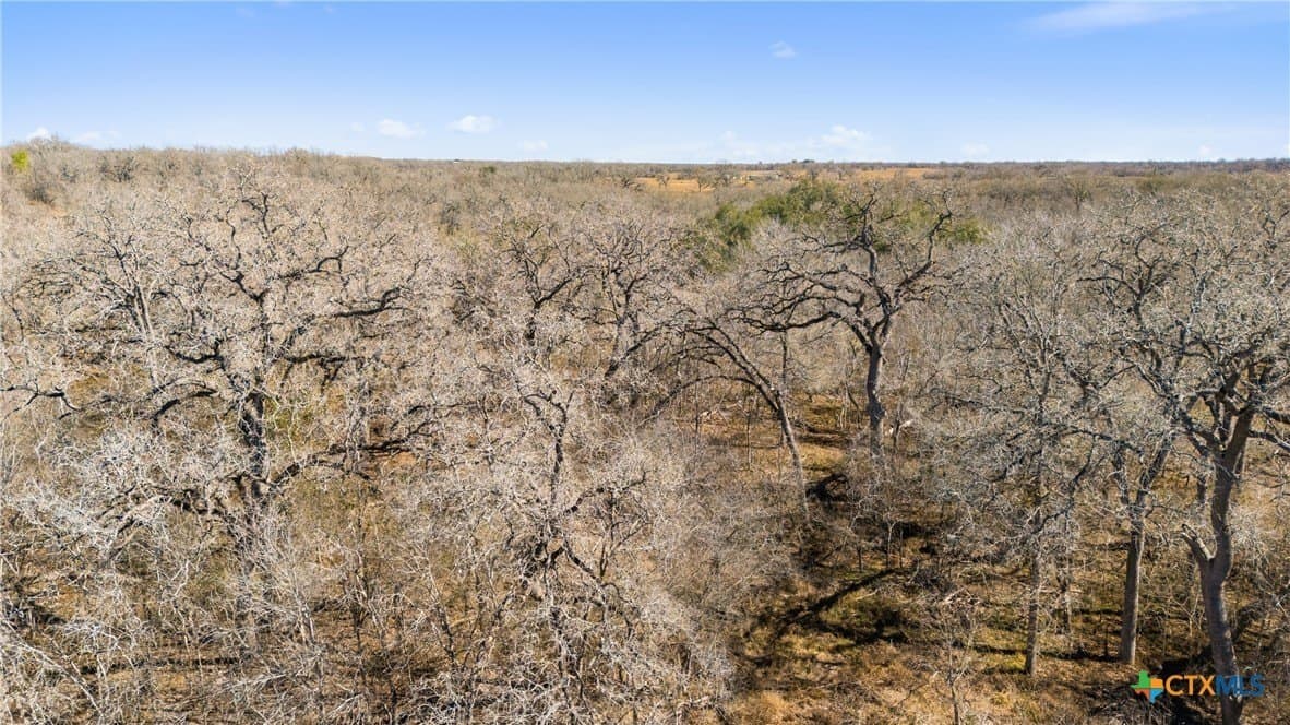 10.13 acres in Guadalupe County - photo 24