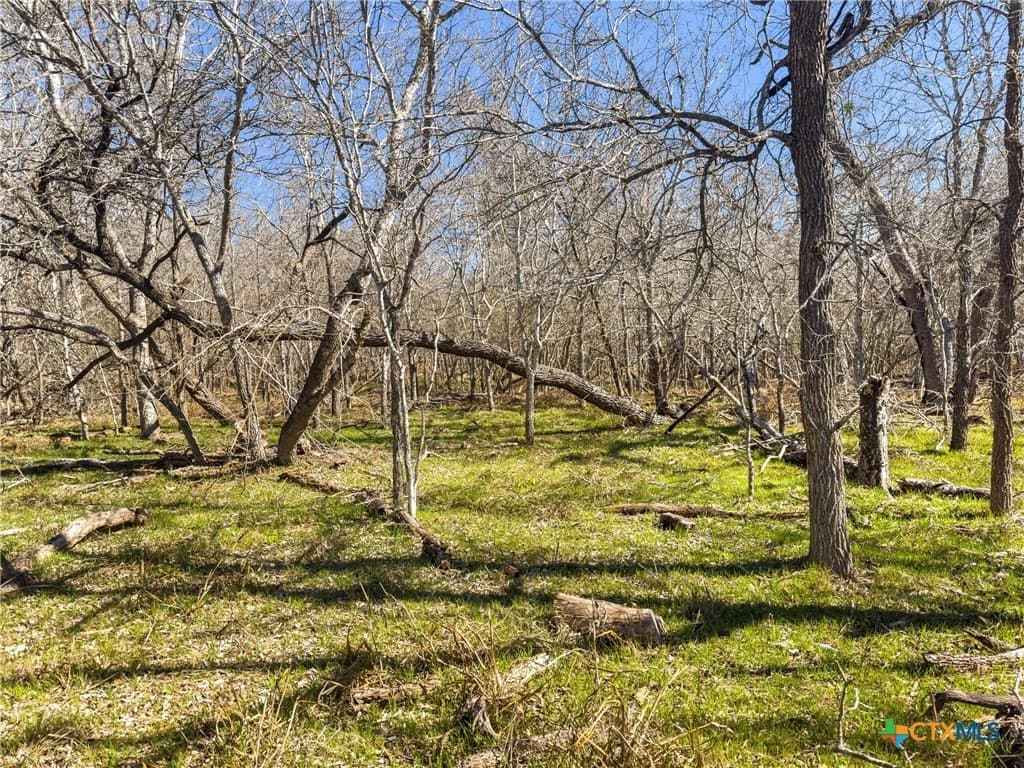 10.13 acres in Guadalupe County - photo 5