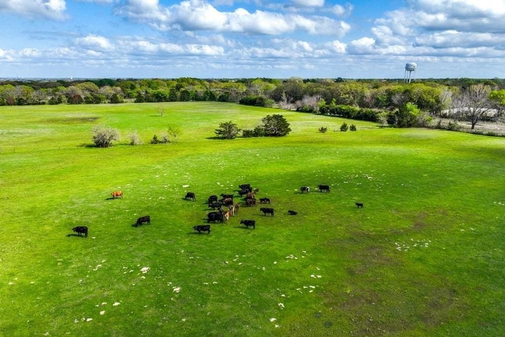 30.68 acres in Henderson County - photo 10
