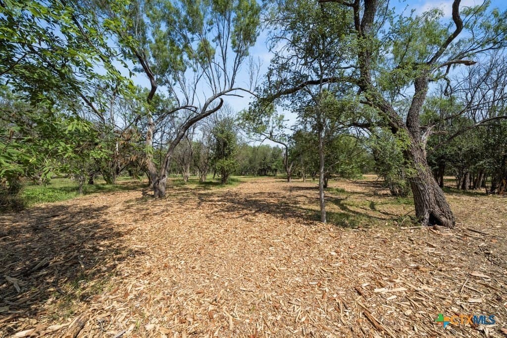 2.41 acres in Comal County - photo 9