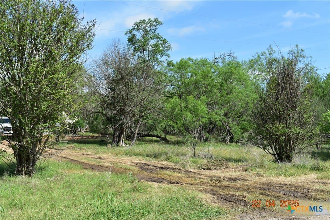 2.41 acres in Comal County - photo 10