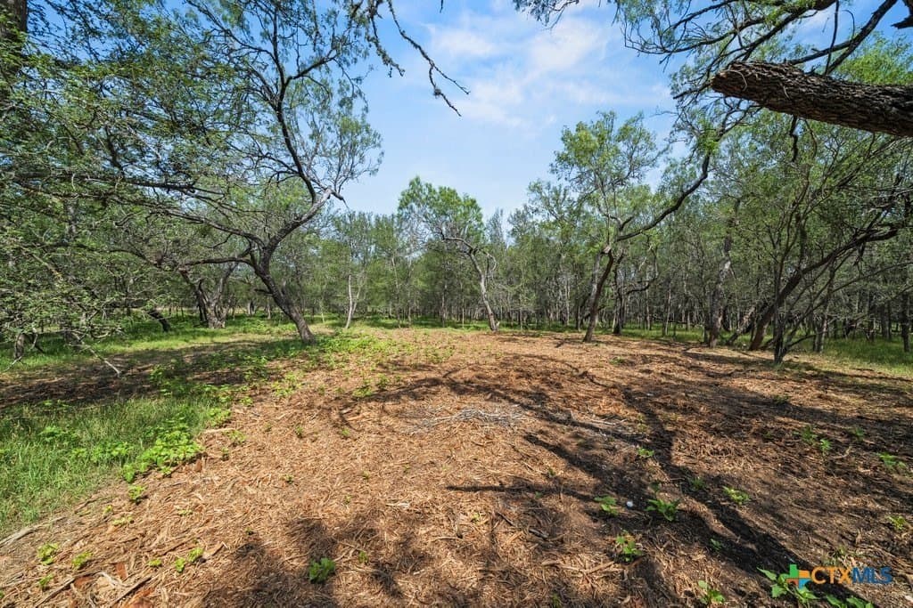 2.41 acres in Comal County - photo 2