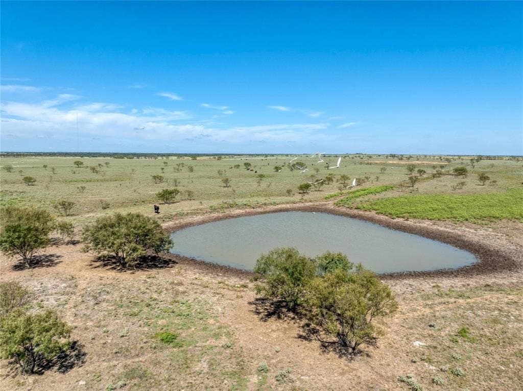 20 acres in Grayson County - photo 25