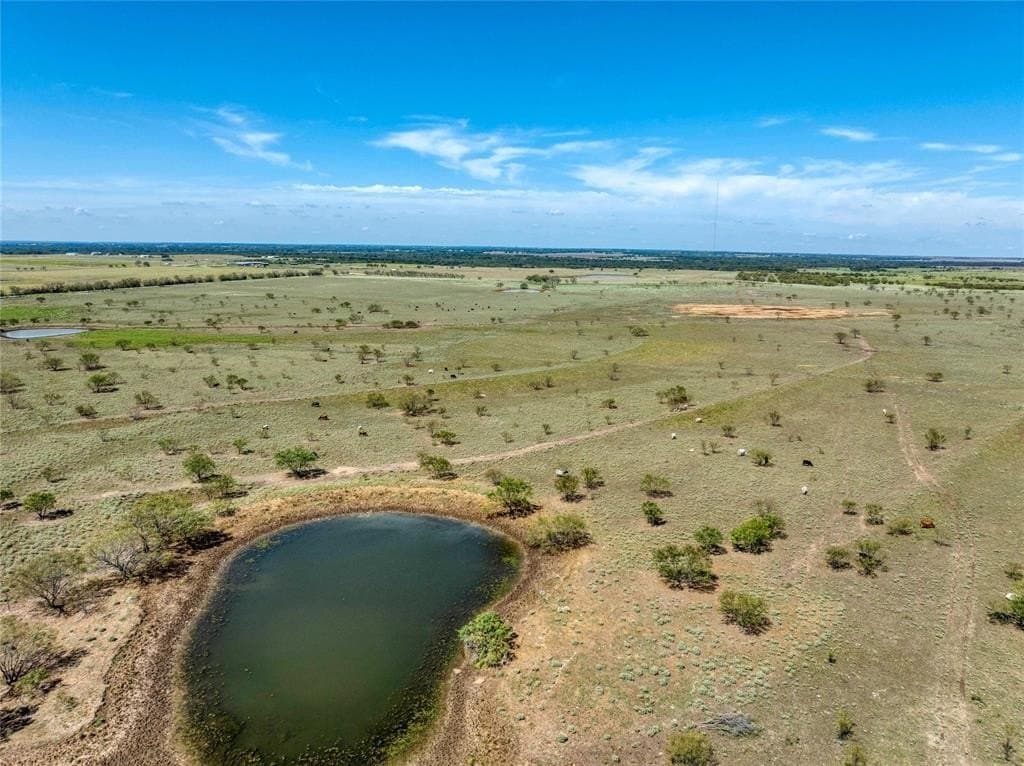 20 acres in Grayson County - photo 5